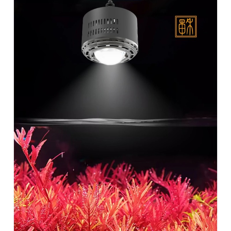 100W Timed Dimming Full Spectr - Planted Aquarium Algae recensione e prezzo