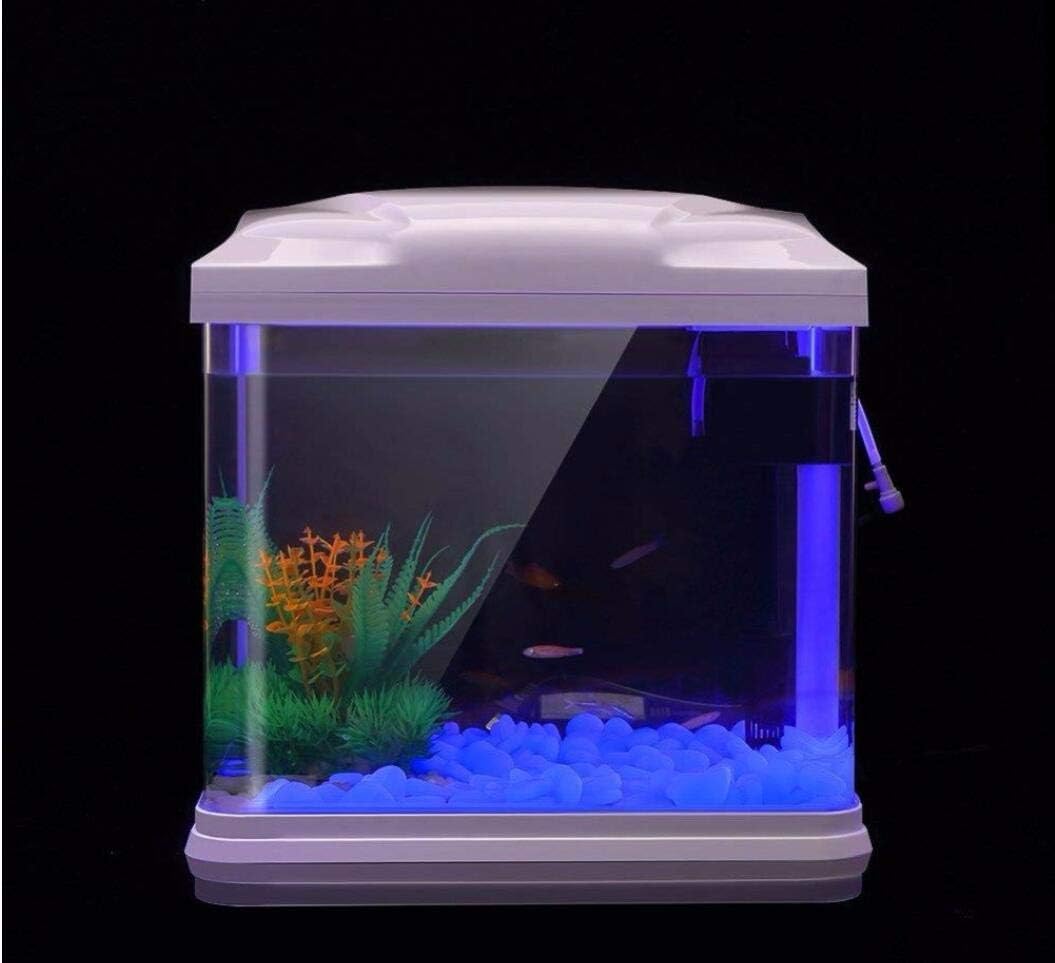 Fish Tank Rocks Glow Blue Pebb - Aquarium Plant In Pot recensione e prezzo