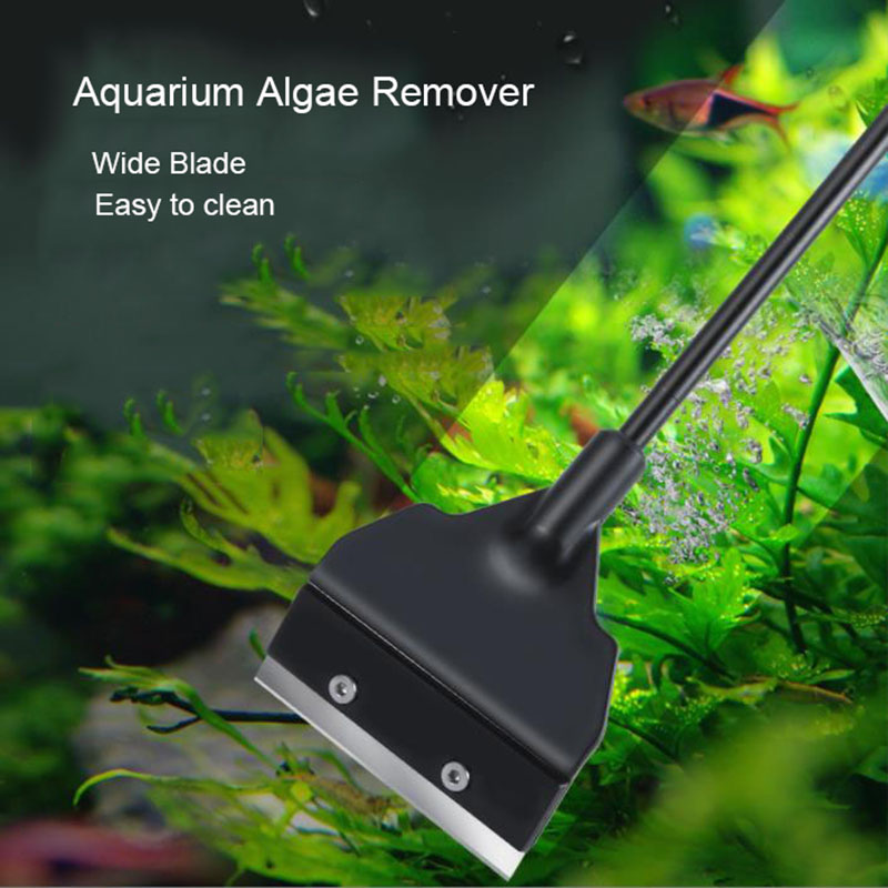Wide Blade 6cm Light Weight Aq - Planted Aquarium Algae recensione e prezzo