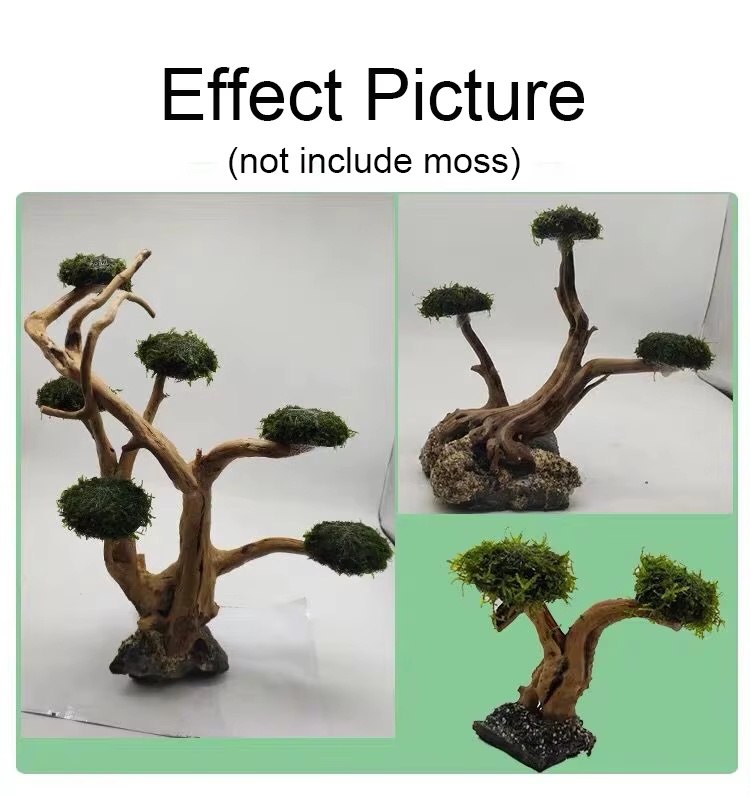 Fish Tank Plant Moss Tree Deco - Planted Aquarium Without Fish recensione e prezzo