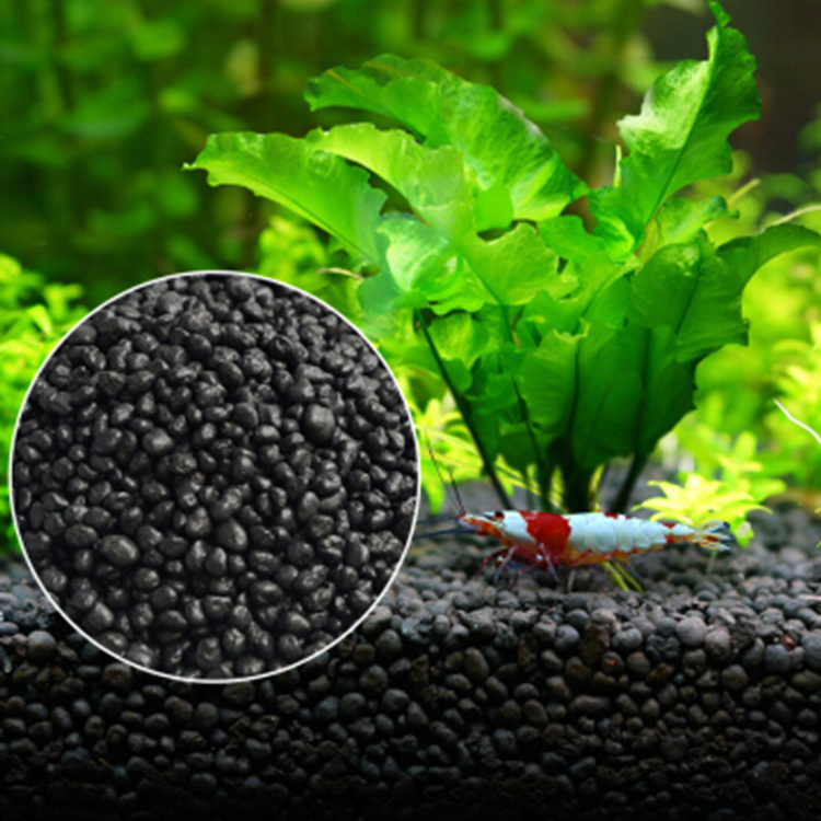 Aquarium Plant Seeds Soil Fish - Aquarium Plant In Pot recensione e prezzo