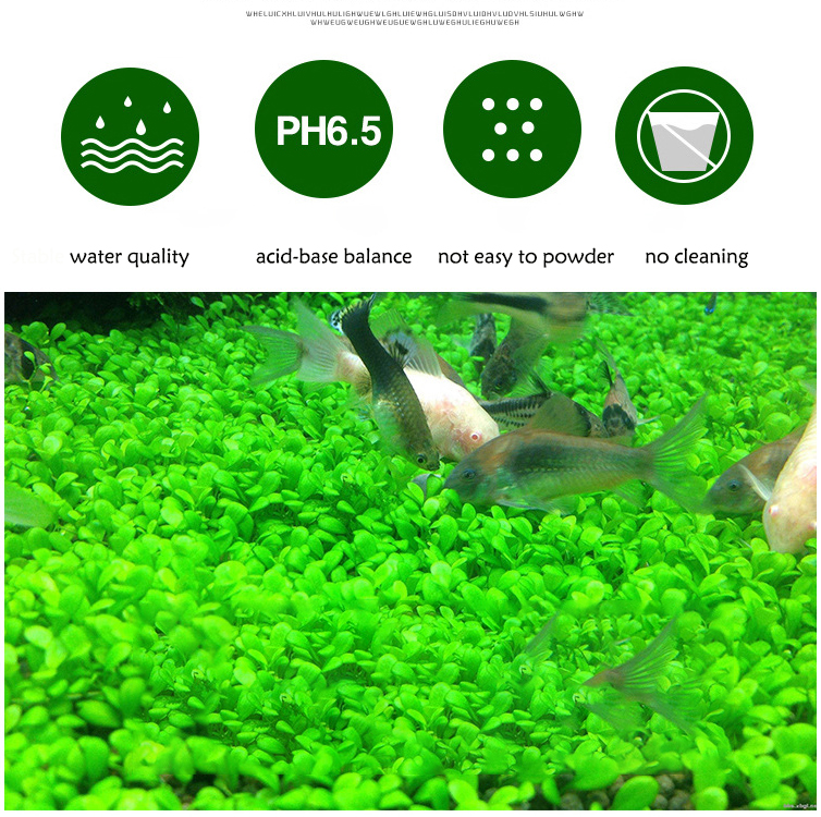 Aquarium Plant Seeds Soil Fish - Aquarium Plant In Pot recensione e prezzo