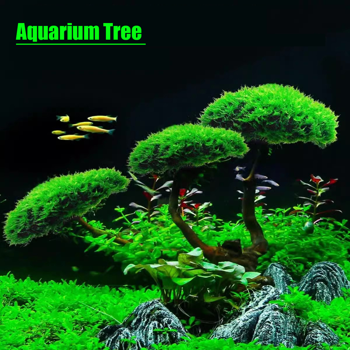 Aquarium Decoration Plant Moss - Planted Aquarium Without Fish recensione e prezzo