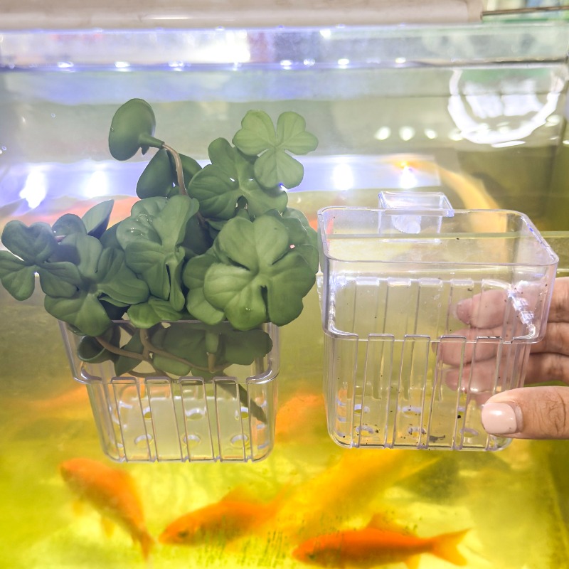 1/5pcs Aquarium Decoration Pla - Aquarium Plant Display recensione e prezzo