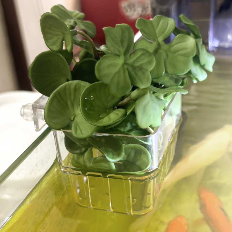 1/5pcs Aquarium Decoration Pla - Aquarium Plant Display recensione e prezzo