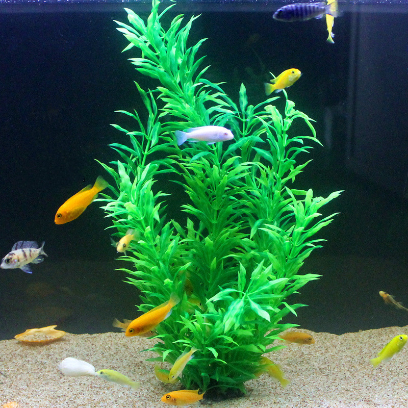 50CM Artificial Fish Tank Rare - Aquarium Plant Display recensione e prezzo
