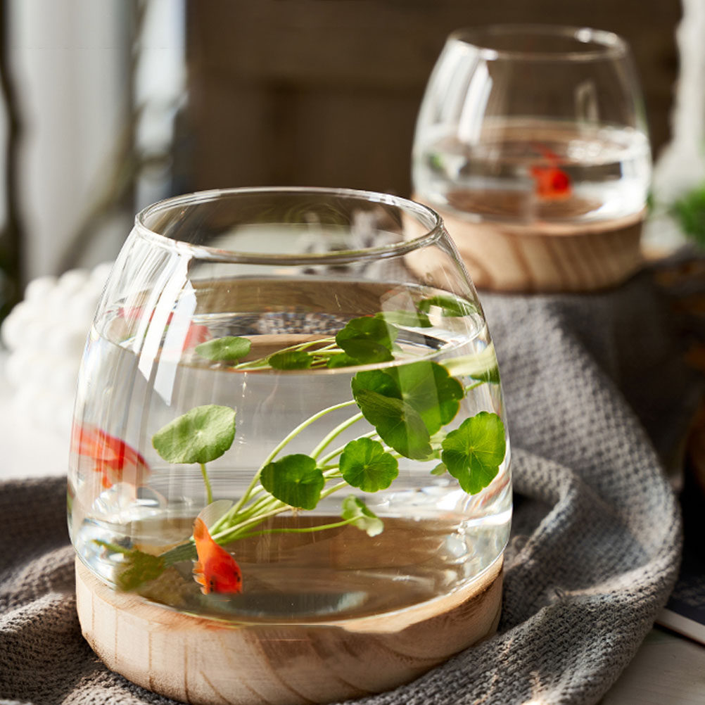 1Set Wooden Base Glass Hydropo - Aquarium Planted Aquarium recensione e prezzo