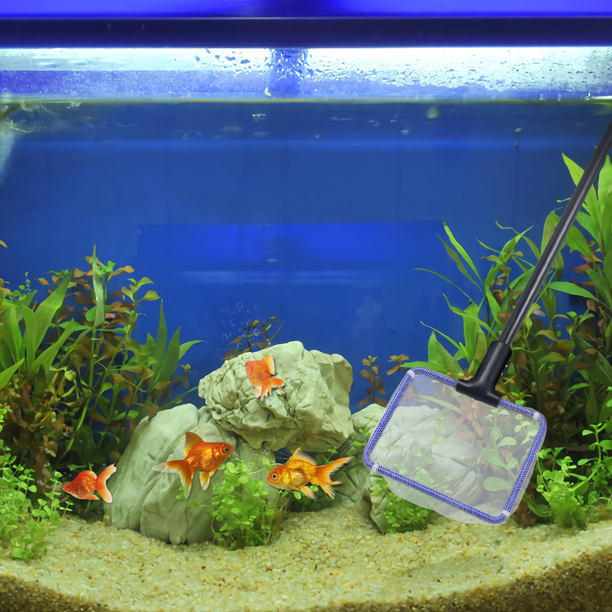 Aquarium Fish Tank Cleaning Ki - Planted Aquarium Algae recensione e prezzo