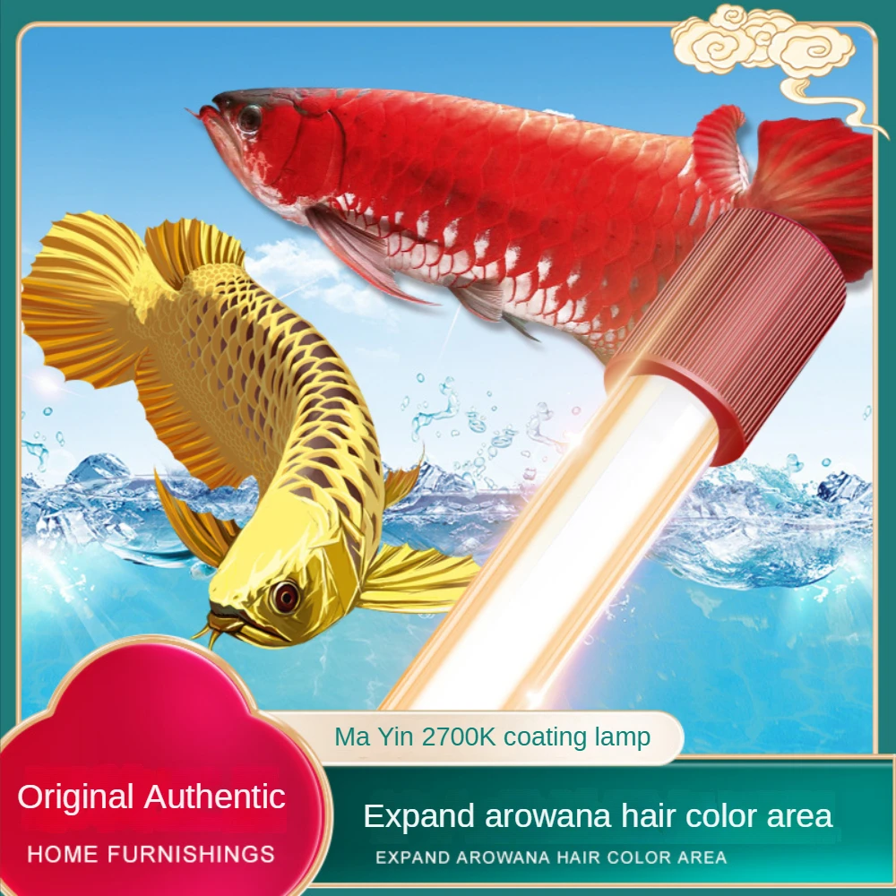 Glass Arowana Fish Tank Light, - Aquarium Plant Display recensione e prezzo