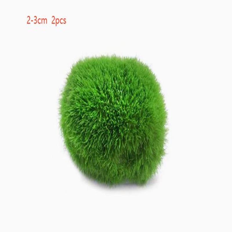 2Pcs Hydroponic Algae Balls Wa - Planted Aquarium Algae recensione e prezzo