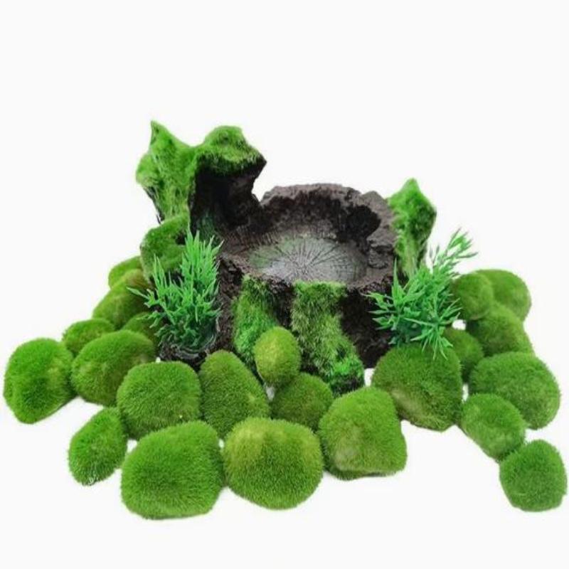2Pcs Hydroponic Algae Balls Wa - Planted Aquarium Algae recensione e prezzo
